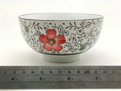BYR050011